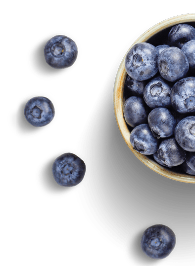 Bowl of blueberries decoration
