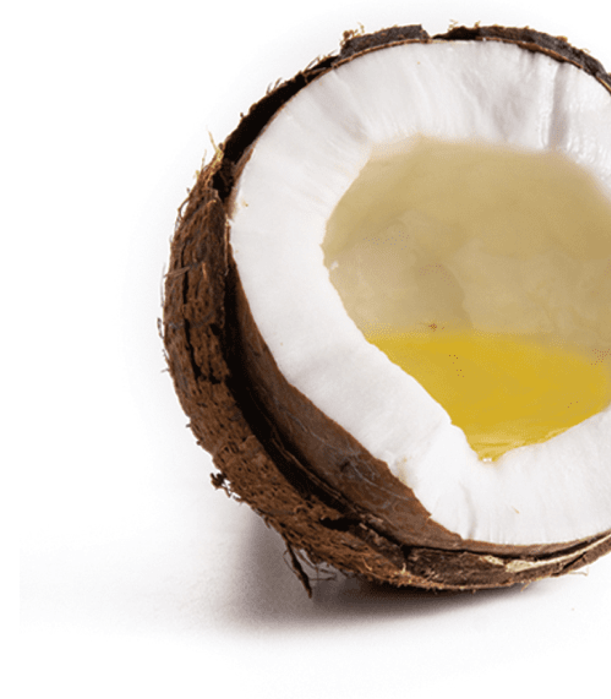 Coconut
