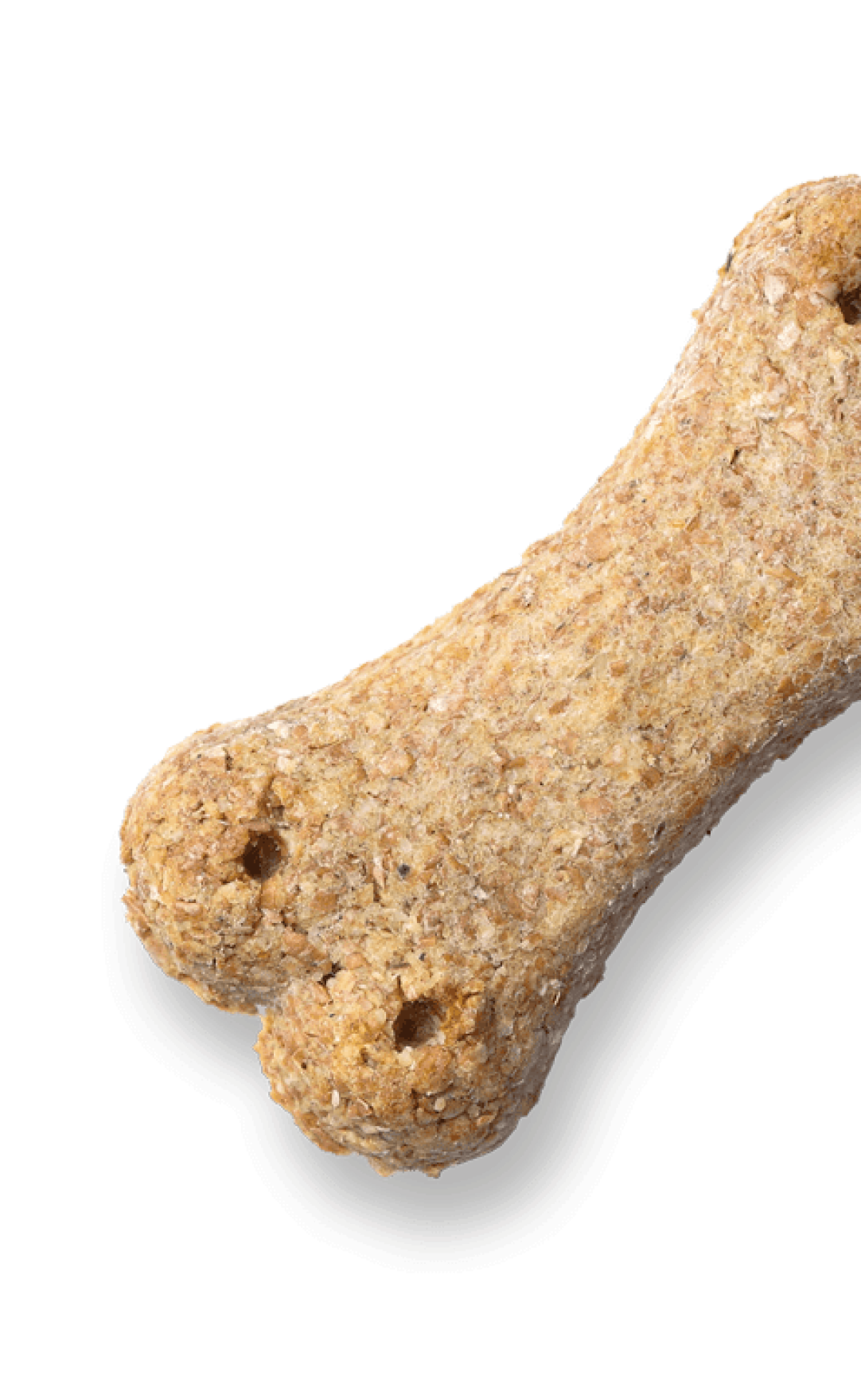 Dog bone treat