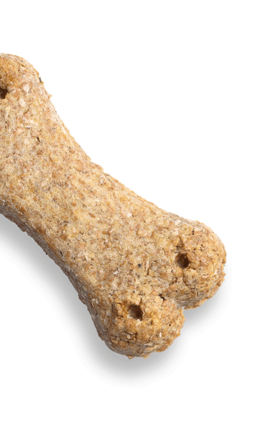 Dog bone treat