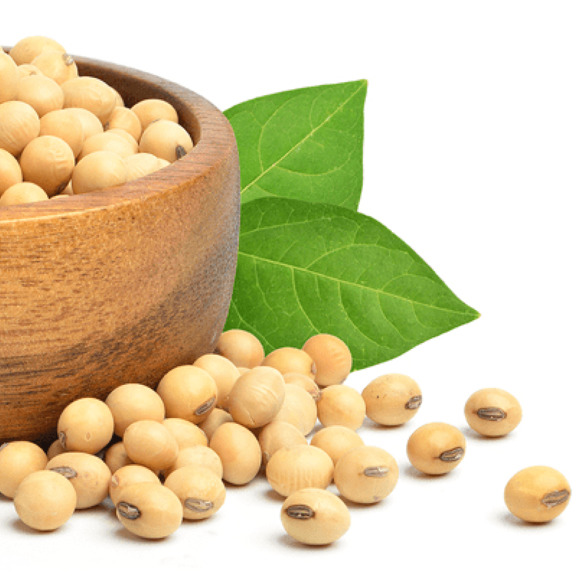 Bowl of soybeans