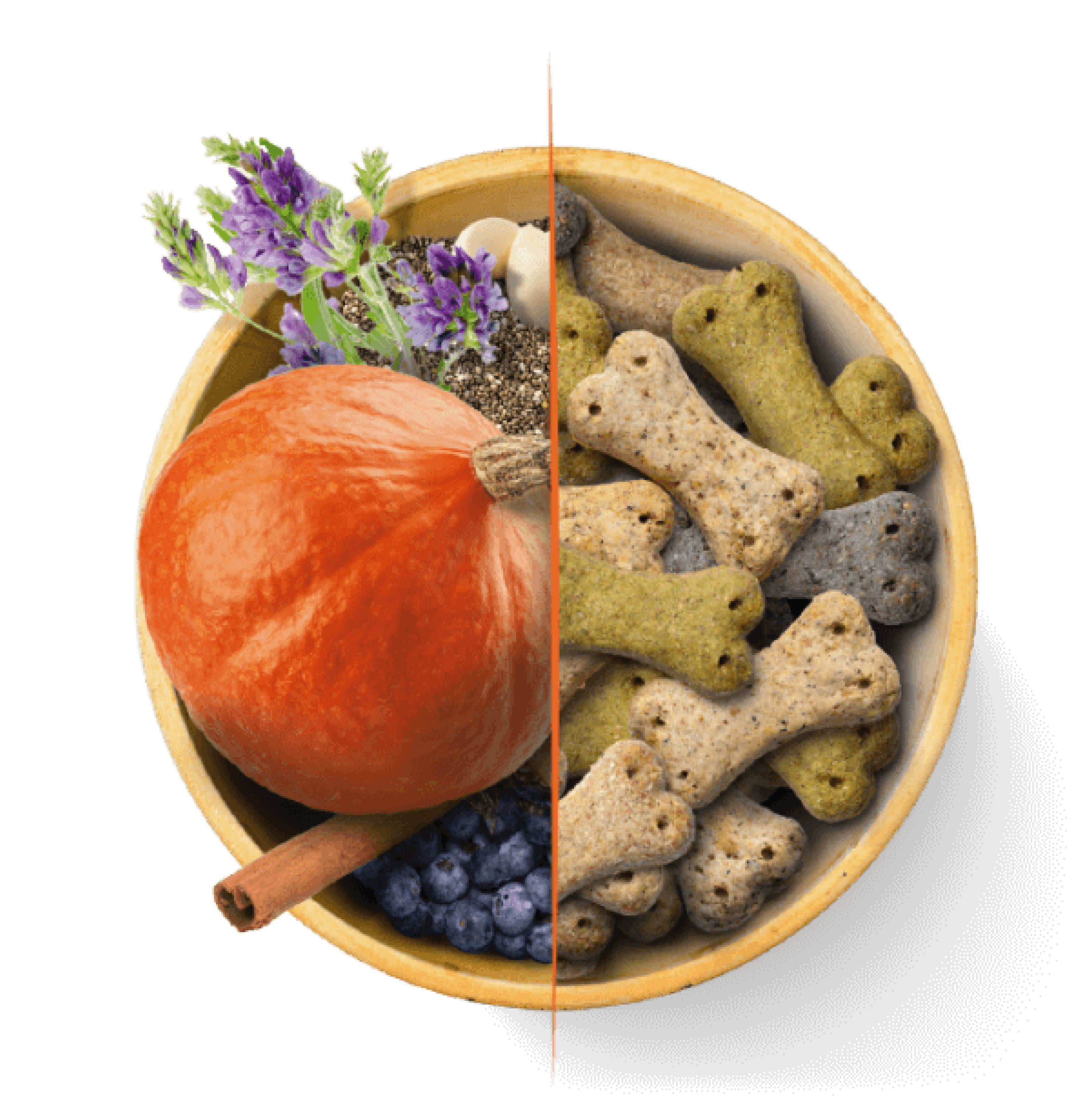 Bowl of fresh ingredients and pet food