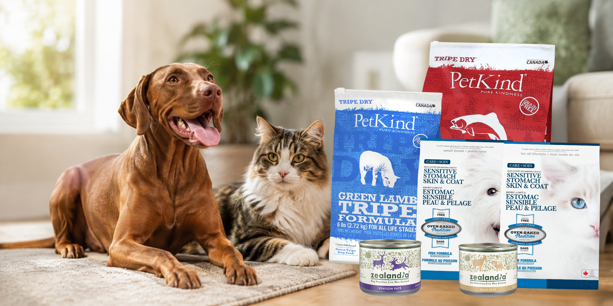 Signs Your Pet Might Have Food Sensitivities