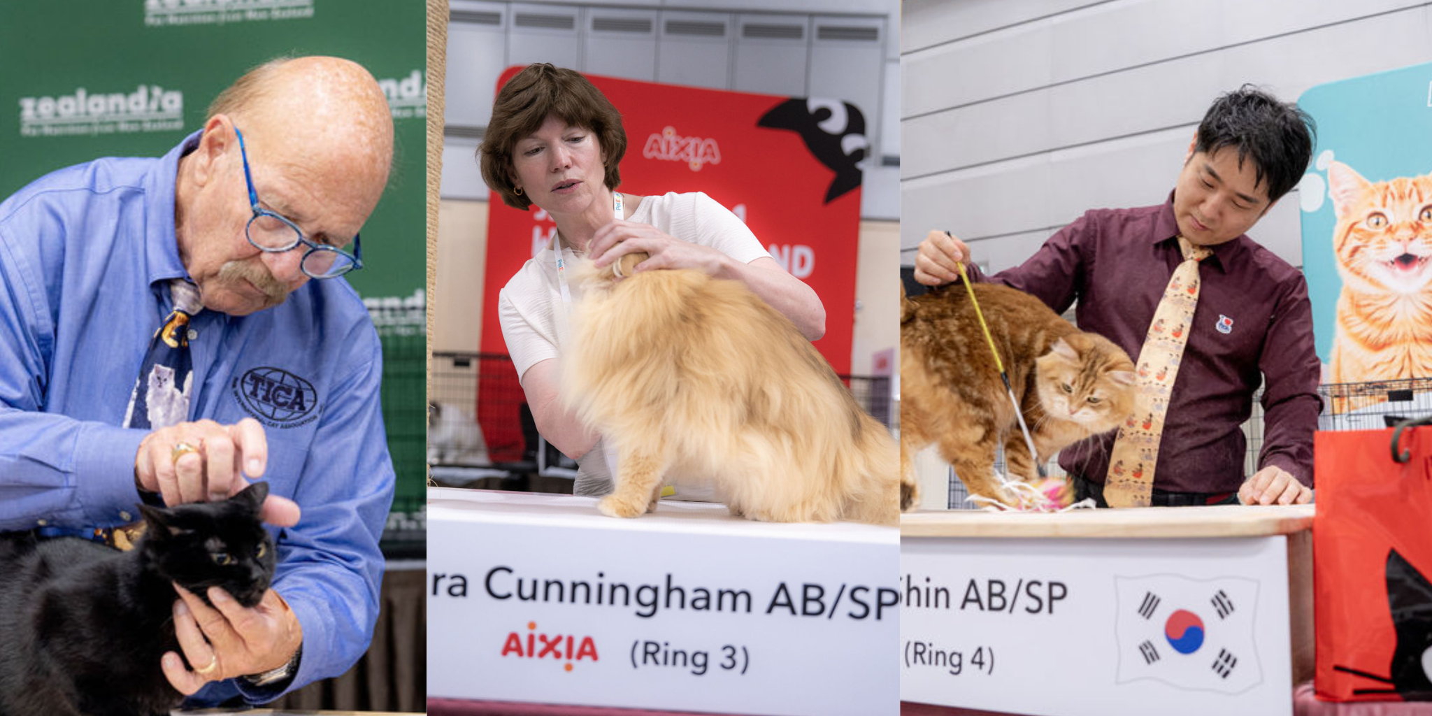 TICA Cat Show Singapore