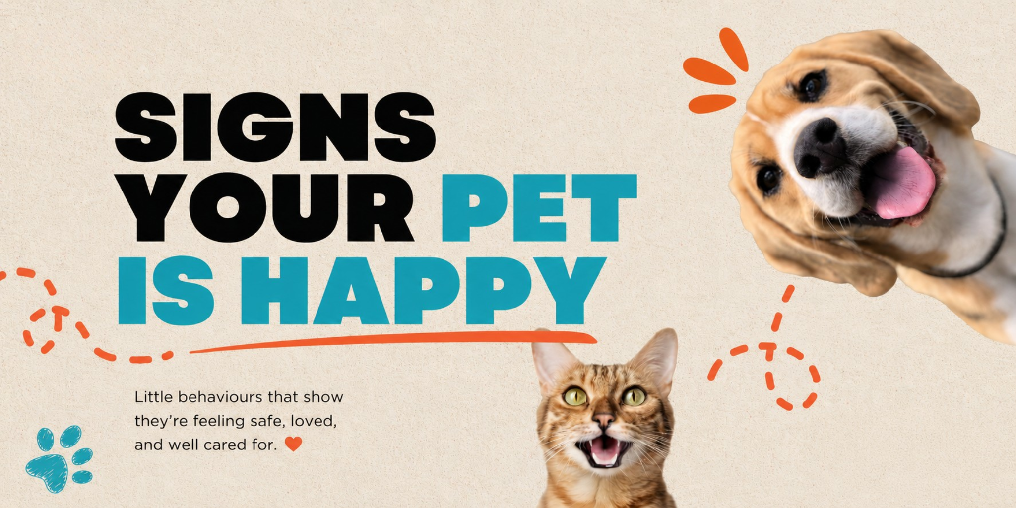 signs of a happy pet, happy and healthy pet, pet wellbeing, healthy pet behavior