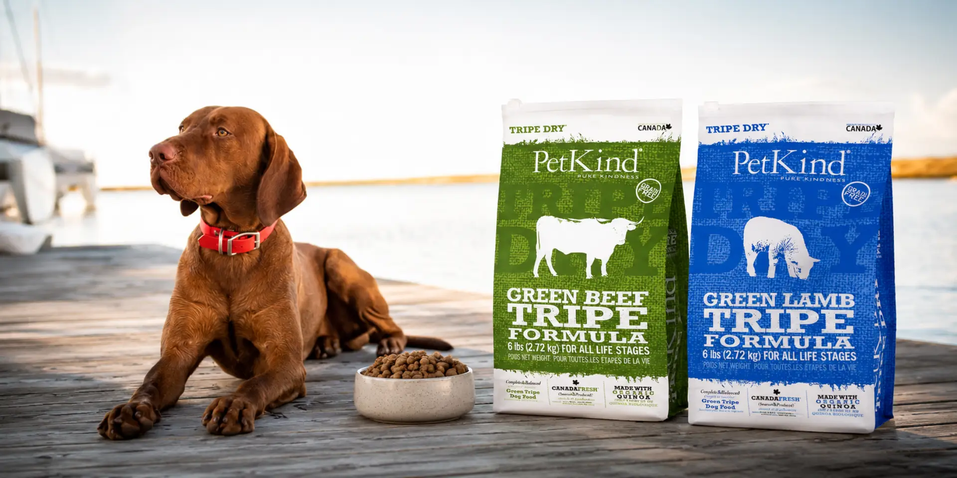 signs of a happy pet, happy and healthy pet, pet wellbeing, healthy pet behavior