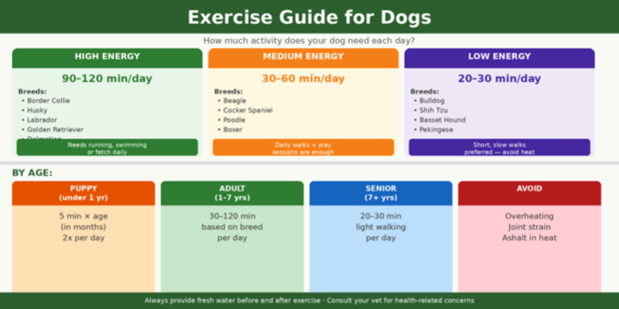 dog exercise dog exercise needs how much exercise does a dog need daily exercise for dogs dog fitness dog health