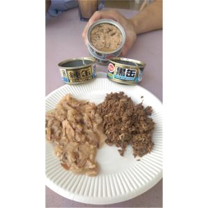 Aixia Jun-can mini Tuna/Whitebait 65g AXJMY14