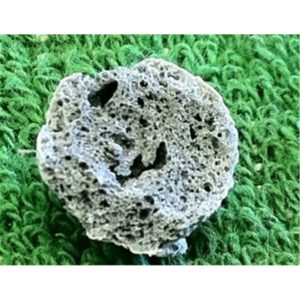 Biohome BioMotion – 300g BH0071
