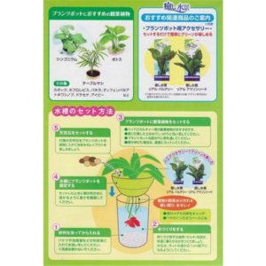 GEX Aqua Leaf White GX030580