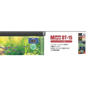 $26.00 Underwater mold (fixed with kiss rubber) .Perfect for compact aquarium.