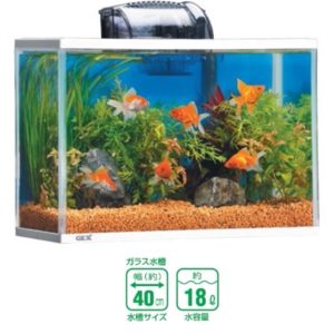 $29.30 SKU: GX025081 Categories: Tank Only-Tanks-GEX-AQ-Aquatics, Tanks-GEX-AQ-Aquatics Tags: Aquatics, GEX, Tank-only, Tanks Additional information