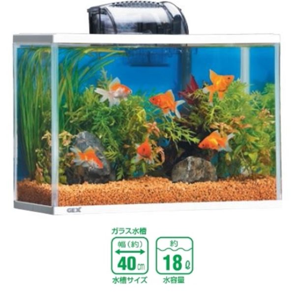 $29.30 SKU: GX025081 Categories: Tank Only-Tanks-GEX-AQ-Aquatics, Tanks-GEX-AQ-Aquatics Tags: Aquatics, GEX, Tank-only, Tanks Additional information