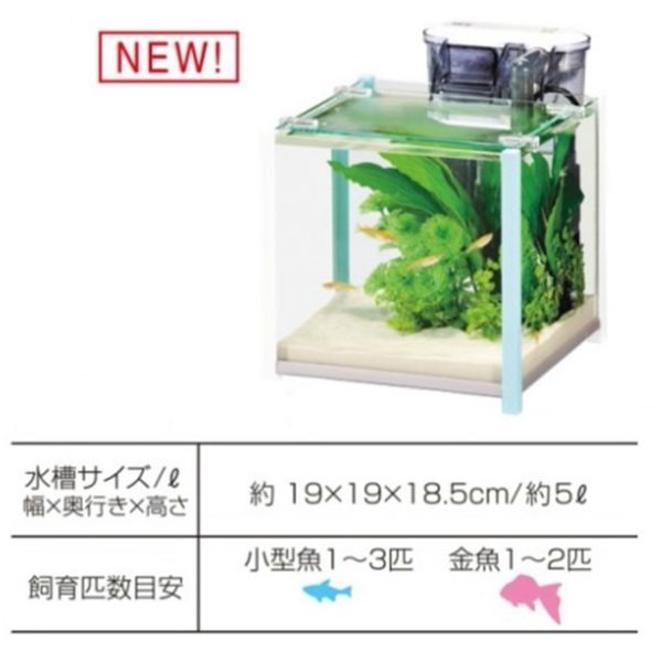 GEX qb Cube Big Blue GX028822