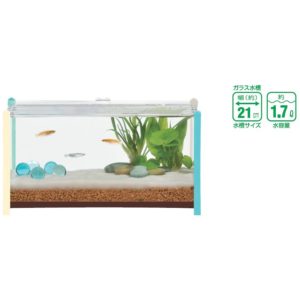 GEX qb Wide Blue GX025111