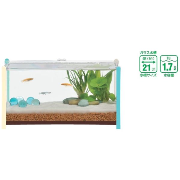 GEX qb Wide Blue GX025111