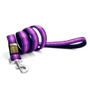 Max & Molly Booster Purple Short Leash M MM132007