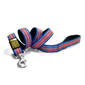Max & Molly Hamton Strip Blue ShortLeash M MM135007