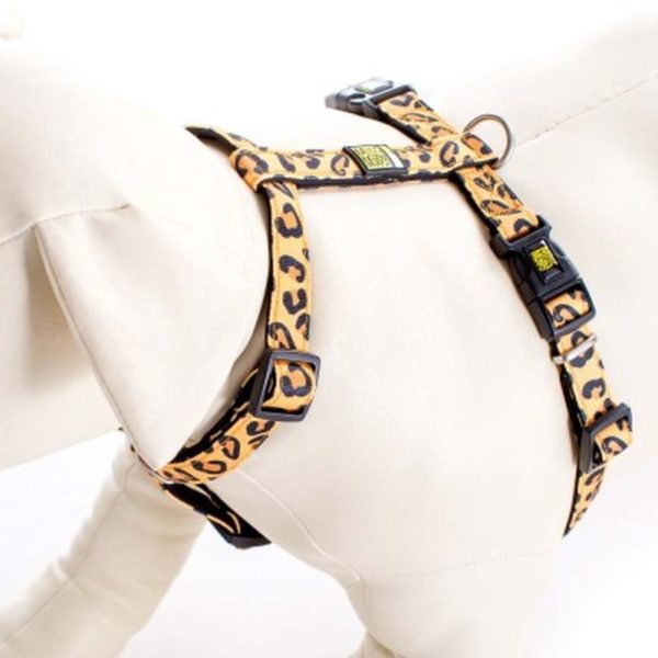 Max & Molly Leopard Classic Harness S MM119014