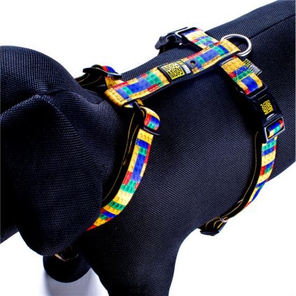 Max & Molly Playtime Harness L MM111016