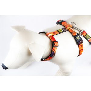 Max & Molly Rio Harness XS MM126013