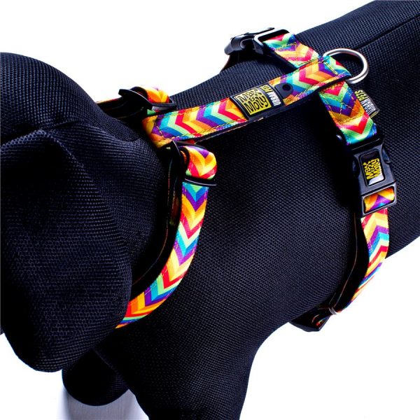 Max & Molly Summer Time Harness S MM125014
