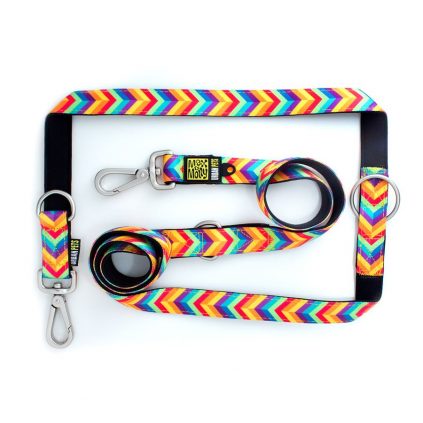Max & Molly Summer Time Mult-Func Leash S MM125010