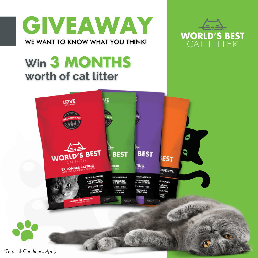 Worlds Best Cat Litter