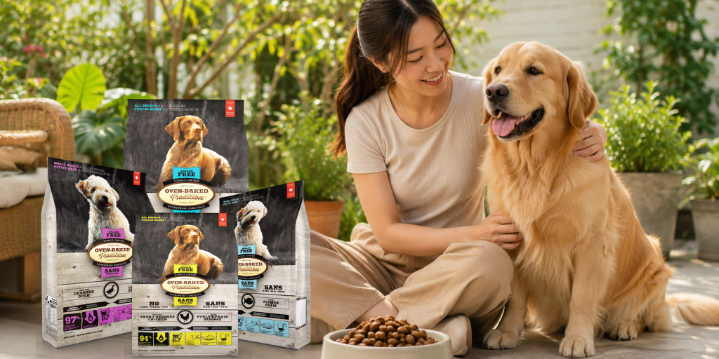 best dry dog food Singapore